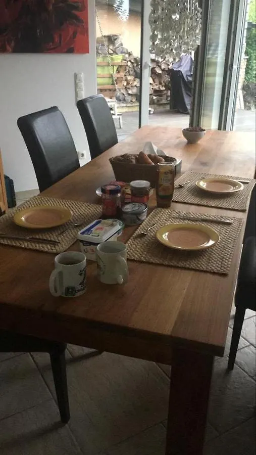 Schoenste Lage Am Rhein In Unmittelbarer Stadtnaehe, B & B Köln 0*,