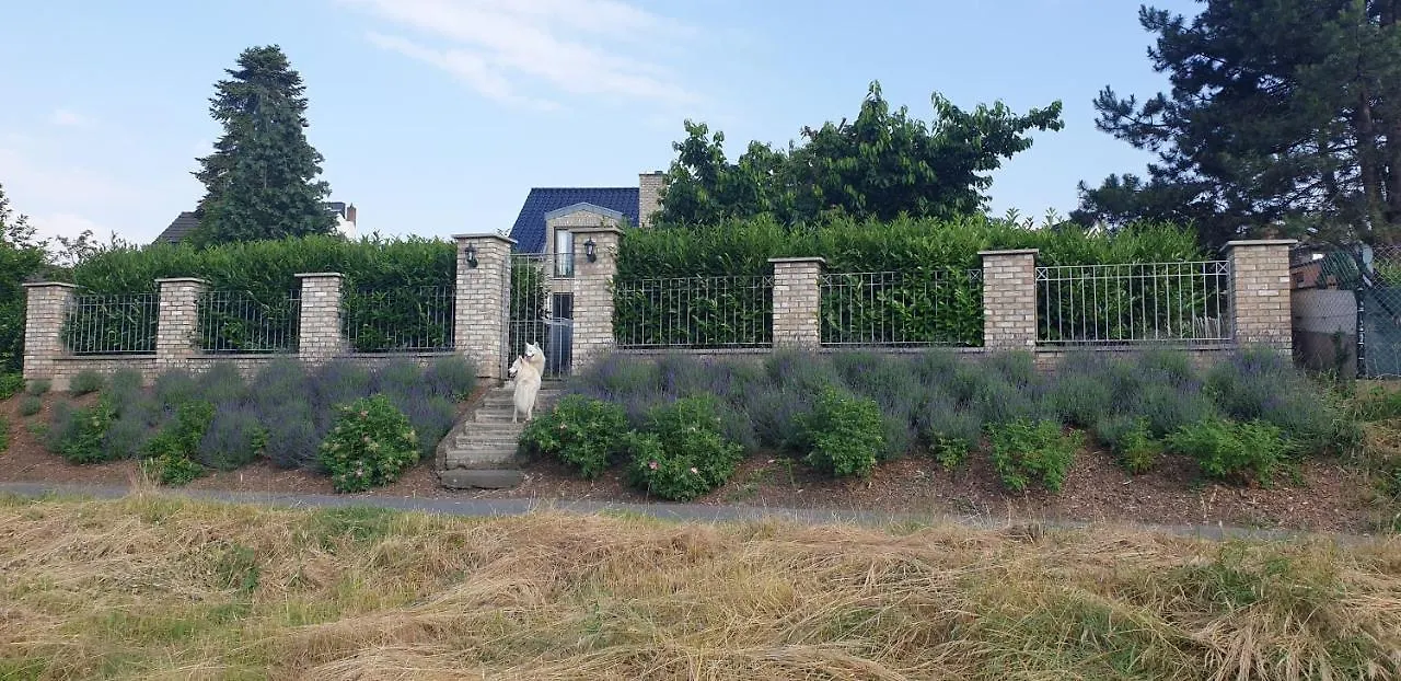 Schönste Lage am Rhein in unmittelbarer Stadtnähe, B&B Köln